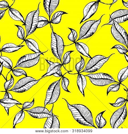 Vector Seamless Outline Leaves Pattern. Black Ink Engraved On Sunny Yellowbackground. Trendy Elegant