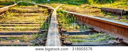 Railway Sleepers And Rails Close-up. Rusty Rails Of An Abandoned Railway In Forest