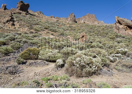 Mountains And Shrubs Near The Volcano Teide, Partially Covered With Clouds. Bright Blue Sky. Teide N