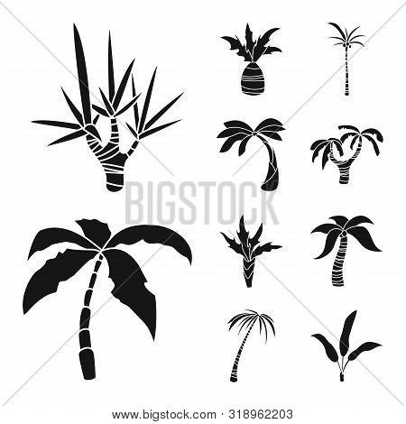 Vector Design Of Travel And Ecology Symbol. Set Of Travel And Beach Vector Icon For Stock.