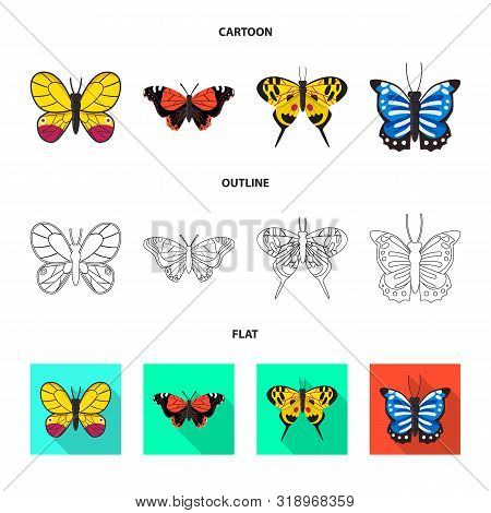 Vector Design Of Exotic And Botanic Icon. Set Of Exotic And Tropics Vector Icon For Stock.