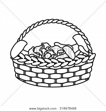 Vector Illustration Of Basket And Mushroom Symbol. Set Of Basket And Picnic Stock Vector Illustratio