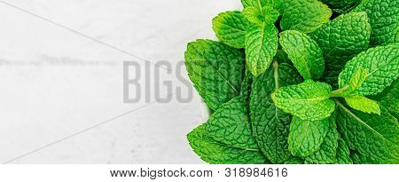 Peppermint Leaves On White Wooden  Background. Bunch Of Mint, Spearmint Leaves. Top View. Copyspace