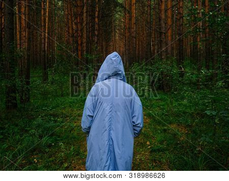 A Girl In A Blue Raincoat Stands In The Middle Of A Pine Forest. Dense Forest