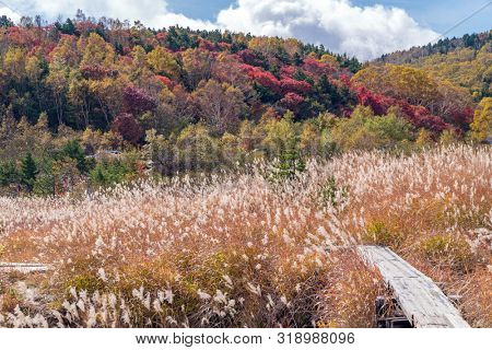 Autumn fall foliage Mountain at Bandai Azuma Skyline at Mt.Bandai in Fukushima Tohoku Japan