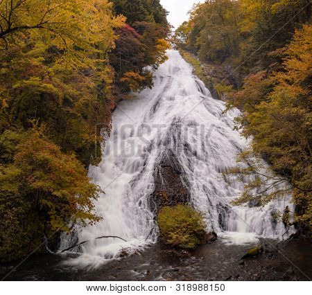 Autumn fall forest at Yudaki Falls at Nikko Tochigi Japan