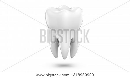 Dental 3d Model Of Premolar Tooth As A Concept Of Dental Examination Teeth, Dental Health And Hygien