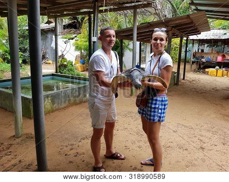 Young Couple Holding A Big Turtle In Their Hands. Turtle Rescue Center. Turtle Farm In Sri Lanka