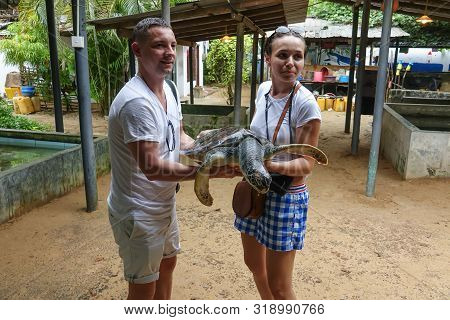 Young Couple Holding A Big Turtle In Their Hands. Turtle Rescue Center. Turtle Farm In Sri Lanka
