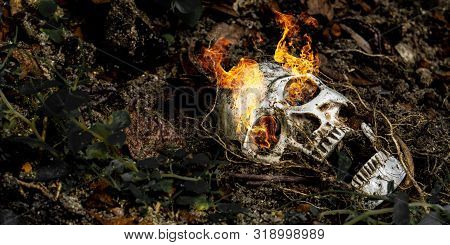 In Front Of Human Skull Buried On Fire In The Soil With The Roots Of The Tree On The Side. The Skull