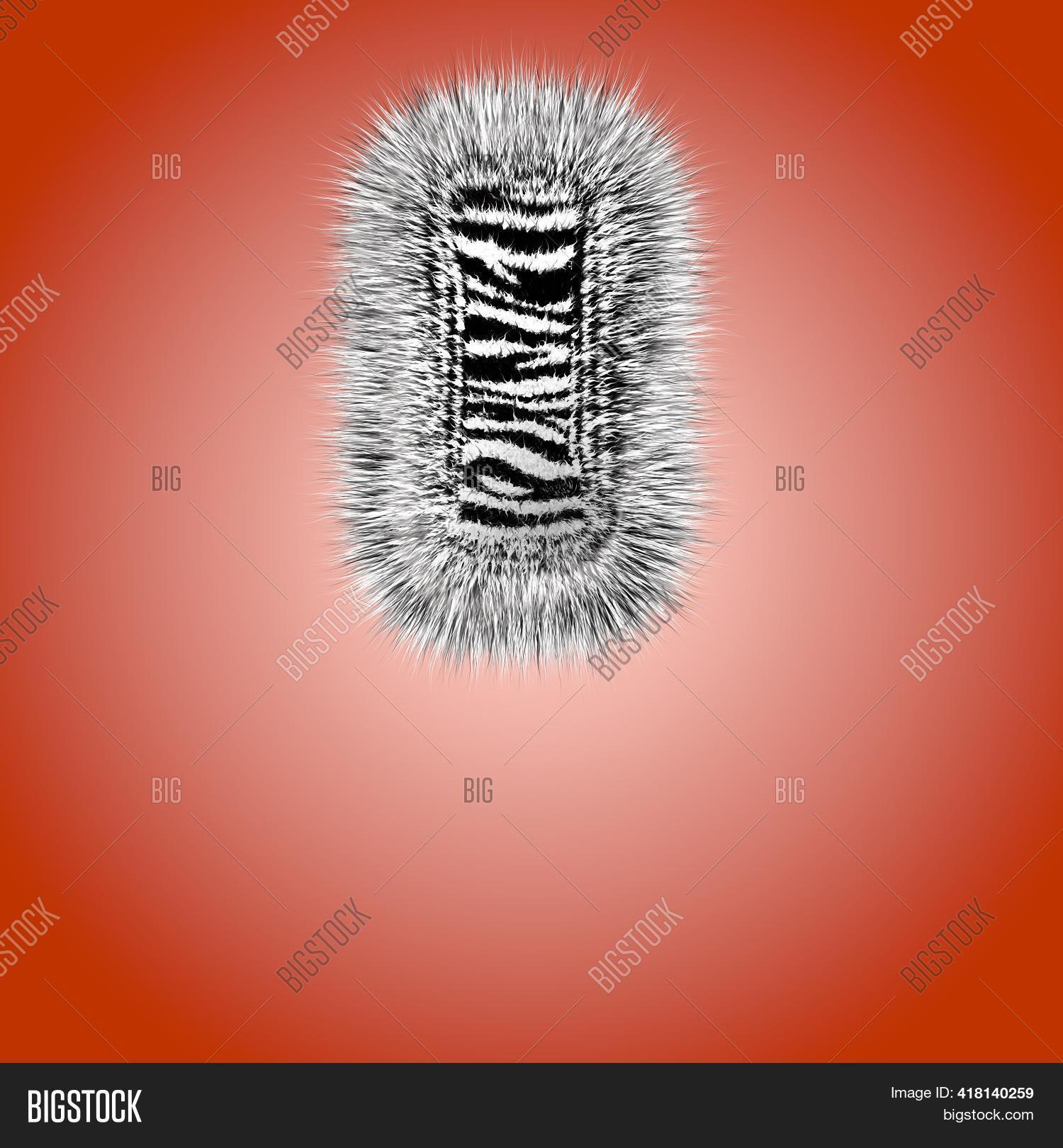 3d Hebrew Letter Bear Image & Photo (Free Trial) Bigstock