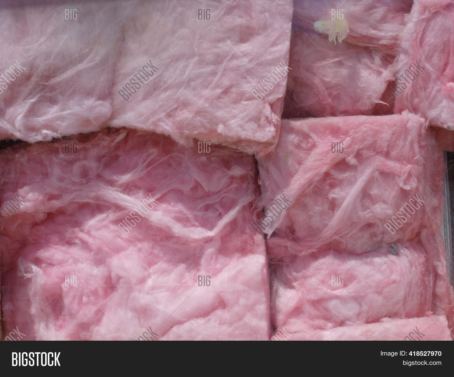 R19 Bats Insulation Image & Photo (Free Trial) Bigstock