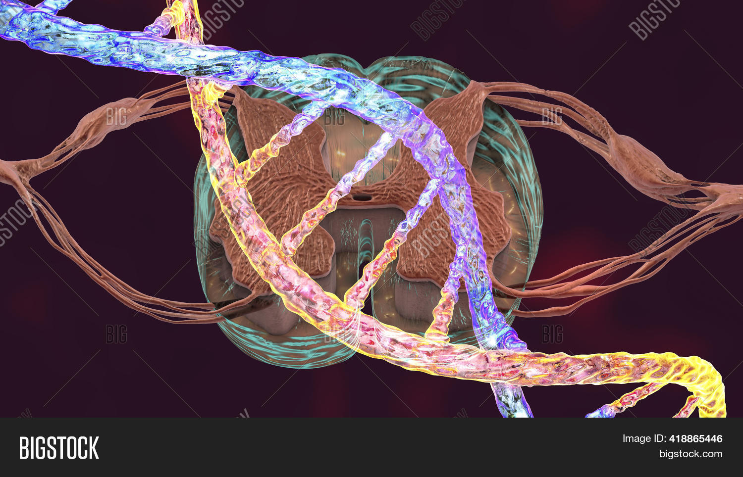 ภาพและภาพถ่าย (ทดลองใช้ฟรี) | Bigstock