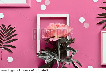 Pink Peony In White Frame, Palm Leaves. Creative Flat Lay On Abstract Geometric Background With Fram