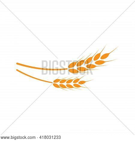 Ears Of Wheat. Logo. Vector Illustration On White Isolated Background
