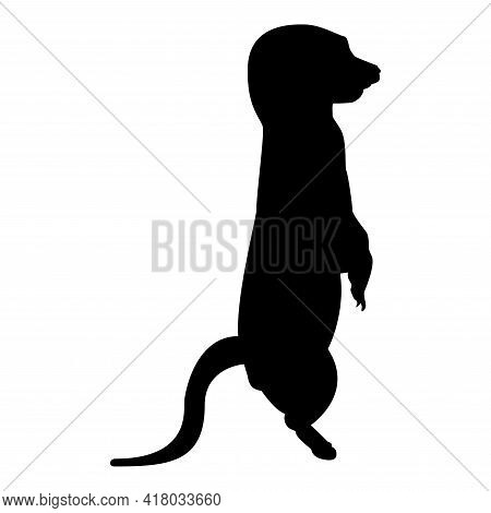 Silhouette Meerkat In Pose Suricata Suricatta Black Color Vector Illustration Flat Style Simple Imag