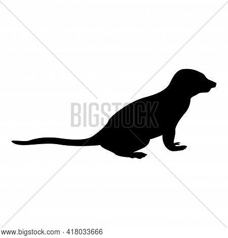 Silhouette Meerkat In Pose Suricata Suricatta Black Color Vector Illustration Flat Style Simple Imag