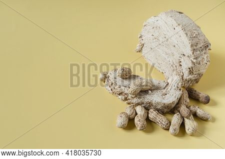 Peanut Halva With Peanut Decoration On A Beige Kopi Space Background. Halva Oriental Sweets. Halva D