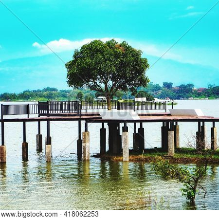 Beautiful Tree On The Jatigede Lake, Sumedang,indonesia