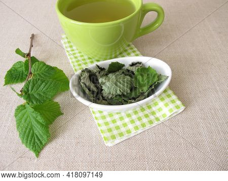 Hazelnut Leaf Tea With In The Dehydrator Dried Hazel Leaves