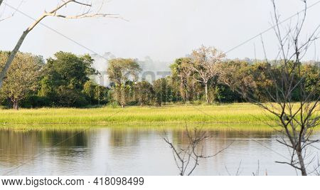 Peaceful Landscape Scenery In Pusiyankulama Wewa. The Beauty Of Nature In Sri Lanka.