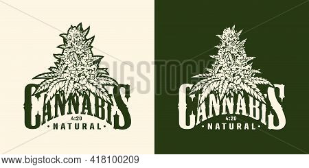 Vintage Marijuana Plant Label With Inscription In Monochrome Style Isolated Vector Illustration
