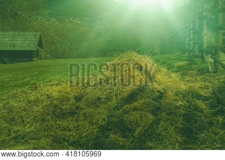 Hay Stack On Animal Farm.spring Season.high Quality Photo.