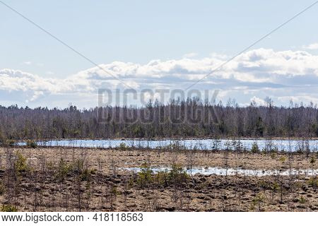 Wet Springy Squishy Peat Bog With Blue Water. Latvian Swamp During Early Spring. Wet Marsh At Sunny 