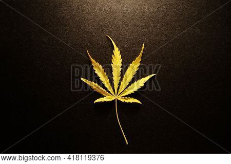 Cannabis With Lemon Flavor. Fresh Marijuana Leaf On Black Isolated Background.