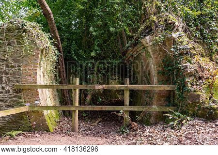 View Of One Of The Fairytale Tunnels On The South West Coastpath From Porlock Weir To Culbone Church