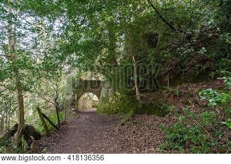 Fairytale Tunnels On The South West Coastpath