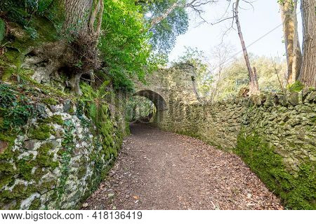 Fairytale Tunnels On The South West Coastpath