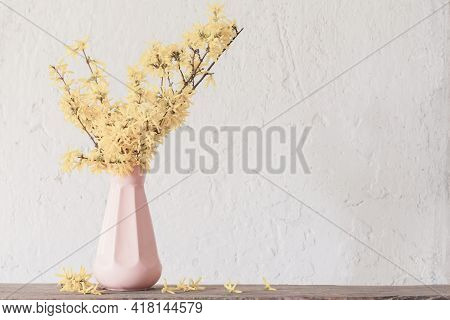 Forsythia  In Vase On Vintage White Background