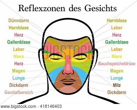Face Reflexology Chart, German Text. Alternative Acupressure And Physiotherapy Health Treatment. Zon
