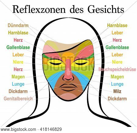 Face Reflexology Chart, German Text, Female Face. Acupressure And Physiotherapy Health Treatment. Zo