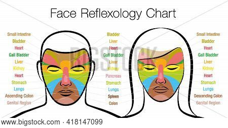 Face Reflexology Chart, Woman And Man. Acupressure And Physiotherapy Health Treatment. Zone Massage 