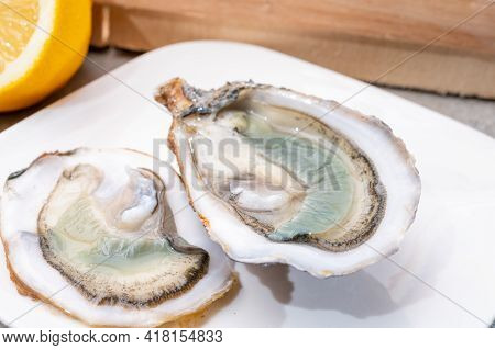 Eating Of Fresh Big Raw Fine De Claires Vertes Green French Oysters From Marennes-oleron