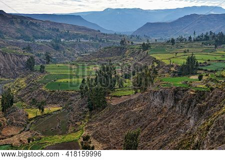 Agricultural Terraces In Colca Valley In Peru.
View Over Colca Valley In Peru.