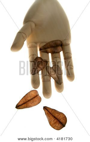 Mannequin wooden Hand halten Herbst braun verlässt