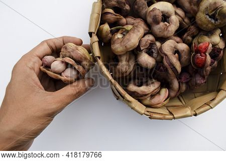 Manila Tamaraind Also Known As Chichbila Or Jungle Jalebi, Asian Or African Wild Pink Raw Fruit With