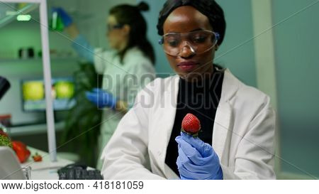 African Chemist With Medical Glasses Looking At Strawberry Injected With Chemical Pesticides