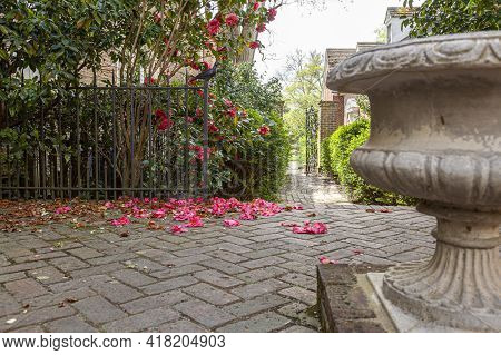A Small Garden With Trimmed Shrubs, Beautiful Flowering Plants And Trees And A Stone Decorative Bird