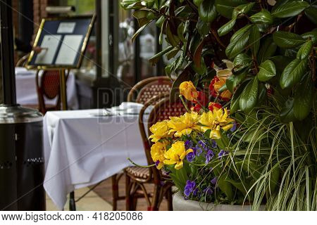 Out Of Focus Outdoor Restaurant Tables With Decorative Flowers In Focus. Abstract Concept Image For 
