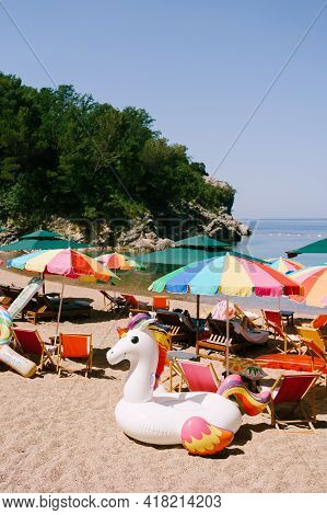 Sun Umbrellas And Sun Loungers On The Royal Beach In Przno Against The Backdrop Of Green Trees