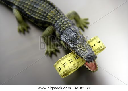 Toy Cocodrile, Aligator mit Zentimeter Maßband in seine Kiefer