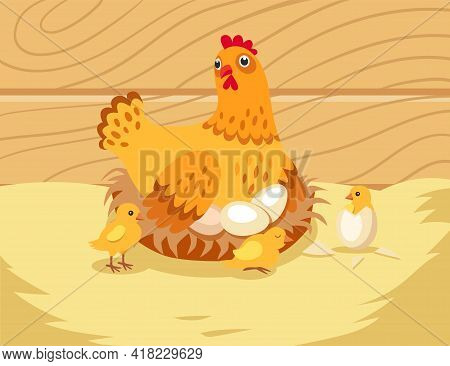 Mother Hen Sitting On Eggs In Nest With Little Chicken. Domestic Bird With Children In Henhouse, Egg