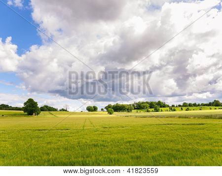 Oilseed rape ฟิลด์ภายใต้ฟ้า