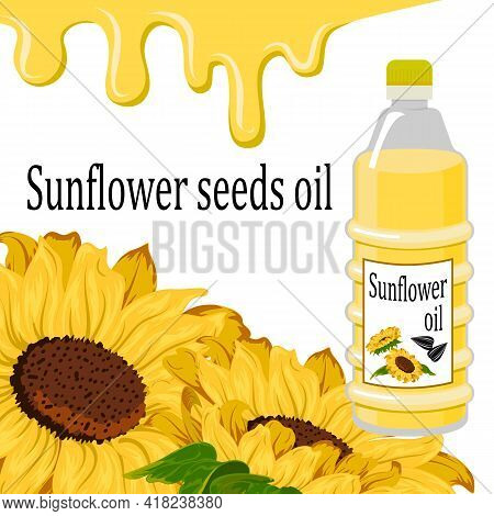 Sunflower Seed Oil In Illustration.vector Illustration With Sunflowers And Seed Oil On A White Backg