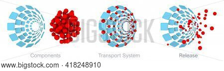 Iron Isomaltoside Transport System Scheme. A Novel Intravenous Iron Oligosaccharide For Treatment Of