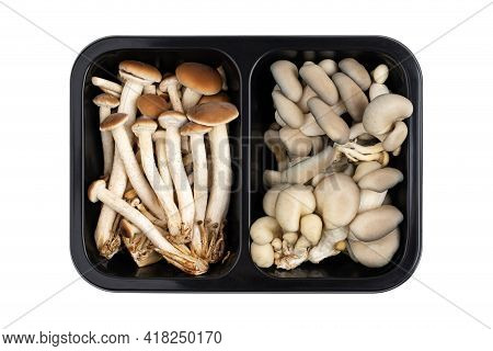 Mushrooms In A Black Container On A White Background. Fresh Mushrooms In A Plastic Container Close-u